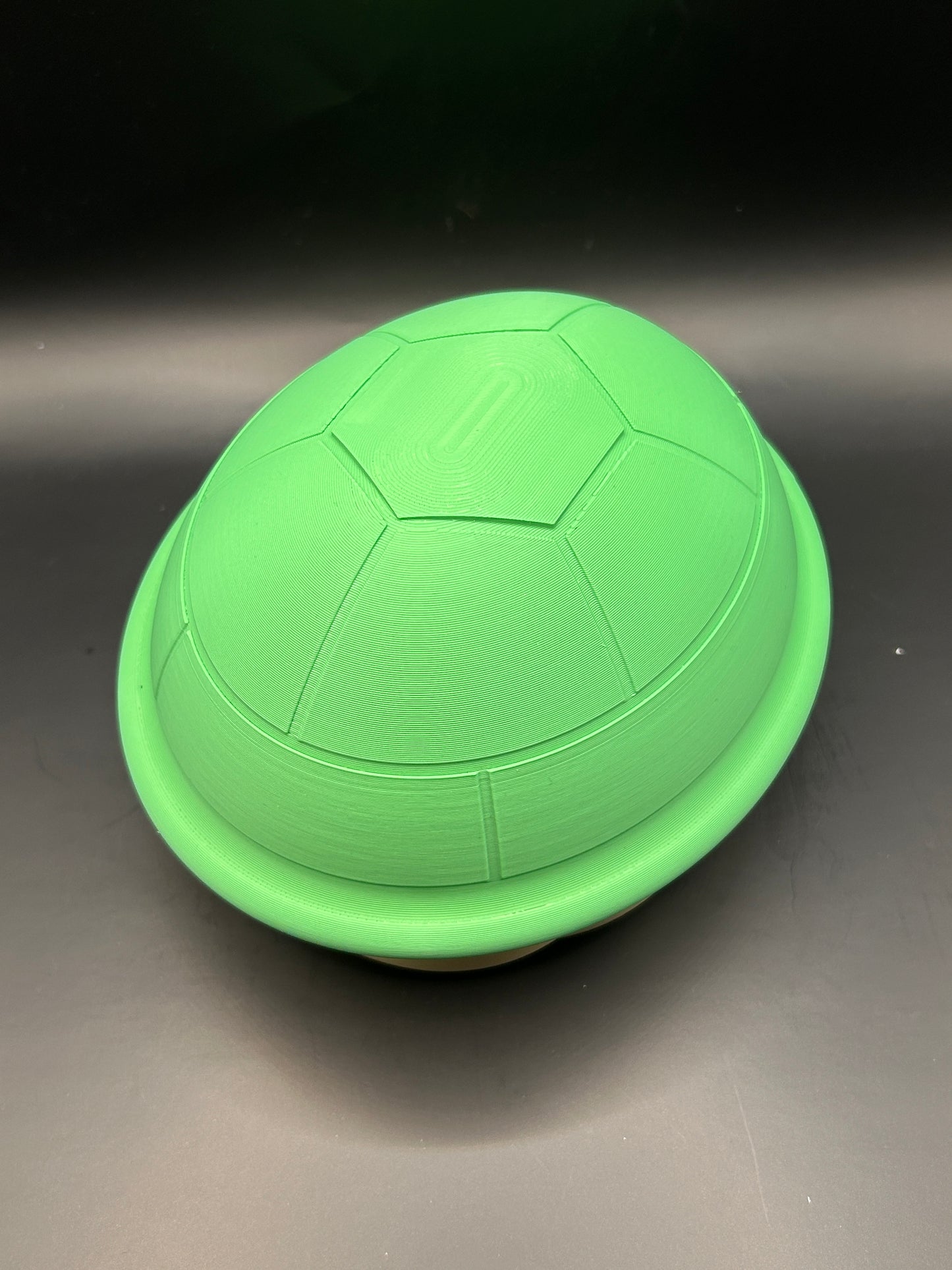 Turtle Shell Deck Box